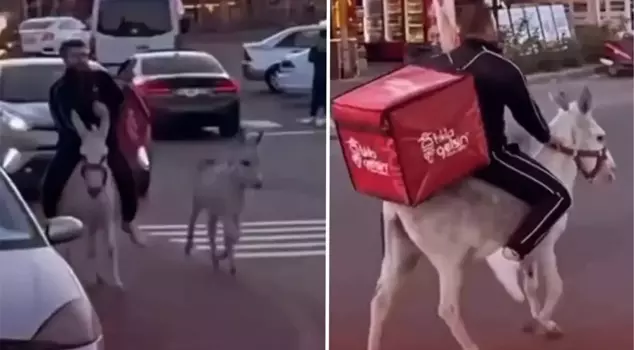 Курьер из Измира совершил невероятный маневр в пробке, когда его права были отобраны, он использовал осла.