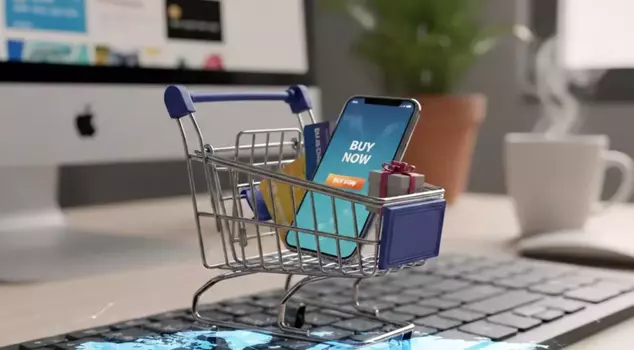 تجاوزت تيمو مشكلة الجمارك من خلال إنشاء شركة استيراد.