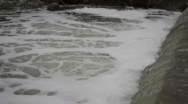 The heavy smell emanating from the bubbling stream unsettled the citizens.