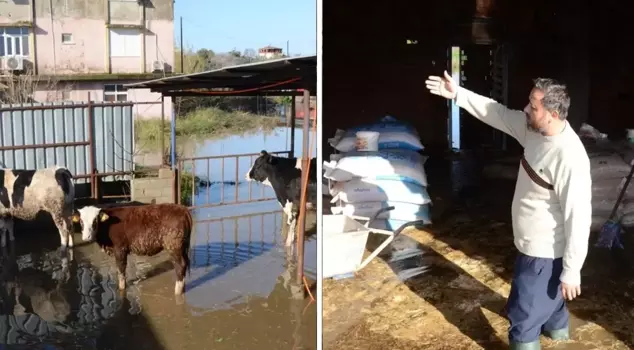 В Анталии сильный дождь парализовал жизнь! Спасены застрявшие животные.