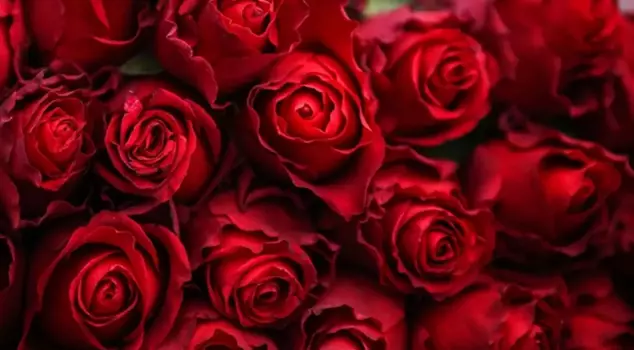 The event from years ago is back in the spotlight! The world-famous figure sent flowers to three different women on Valentine's Day.