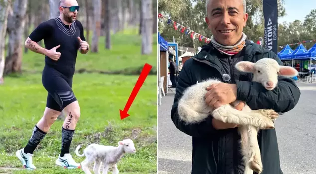 The lamb that jumped into the course added color to the competition: It makes one want to be vegan.