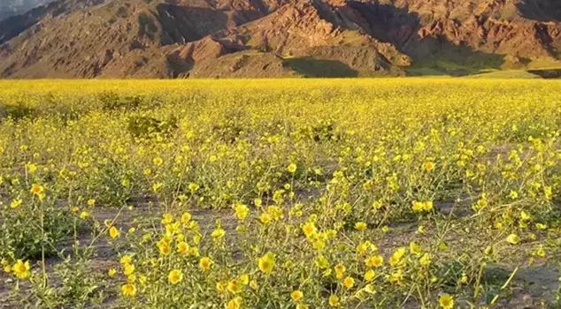 Признак конца света? Изображение из Долины Смерти шокировало мир