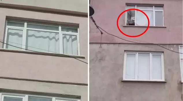 The woman who went to the window in Esenler and hit the pot and pan has annoyed the neighborhood.