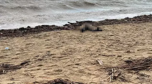 A woman's body washed up on Garlic Beach.