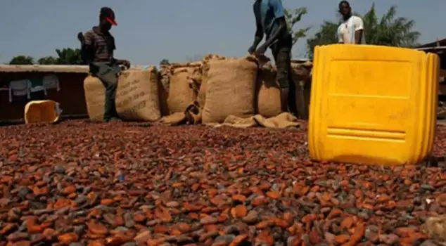 Turkey earned 1.7 billion dollars from cocoa that it did not grow.