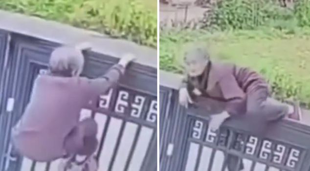 Старая женщина прыгнула через 2-метровую стену одним движением.