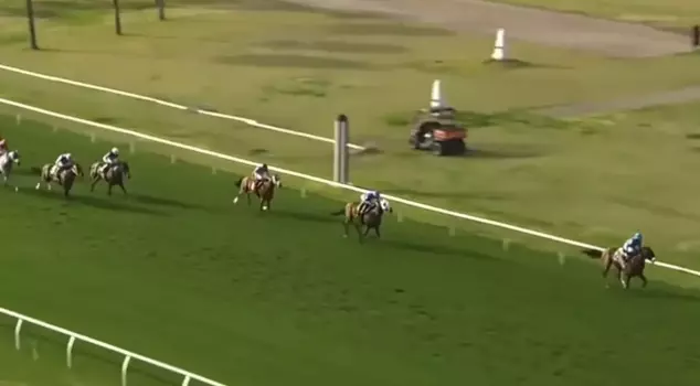 Everyone is talking about it! The narration of the horse racing commentator has become a sensation.