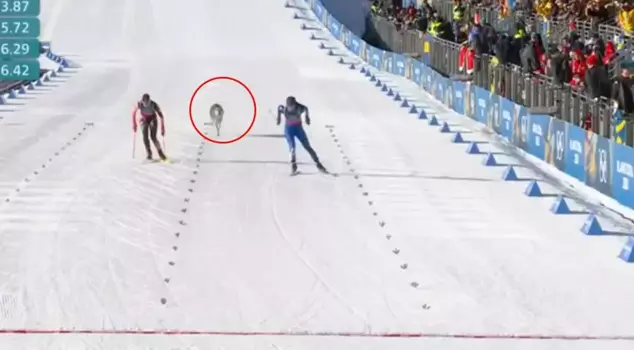 The image that surpasses the large organization.