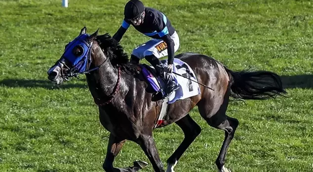 An explanation has come regarding the claim of 