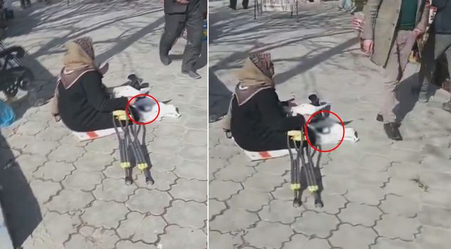 The beggar swallowed his little tongue in front of the onlooker: He is a taxpayer, that is.