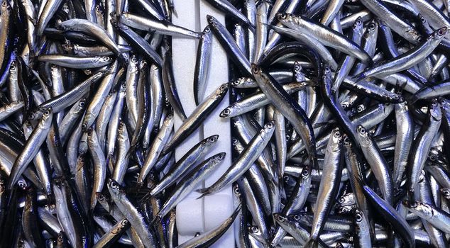 The anchovy has overthrown its throne! Here is the fish that is most consumed at the tables.