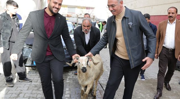 A first in Turkey from Eyyübiye Municipality: Support for 400 orphan families with sacrificial rams.