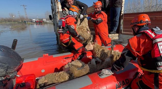 В нашем городе Серхат тревога! Уровень воды поднялся до 2,5 метра, эвакуация продолжается.