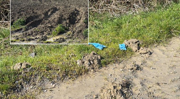 Brutality in Istanbul! Missing Chinese businessman found buried in the ground.