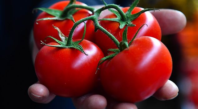 The tomatoes from one of our districts have ranked among the best in the world.