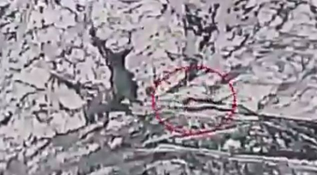 The bombs dropped by the Pakistani army on Afghanistan were captured in aerial footage.