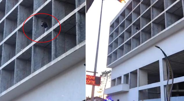 Upon seeing the amount of the fine, he rushed to the top of the building.
