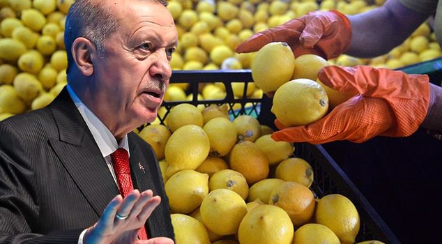 تجاوز السعر 100 ليرة، تدخل أردوغان! قرار جديد بشأن استيراد الليمون