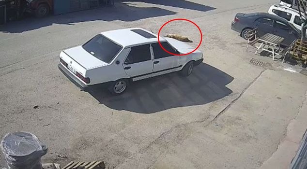 Да благословит Аллах! Посмотрите на видео, снятое в священный месяц Рамадан.