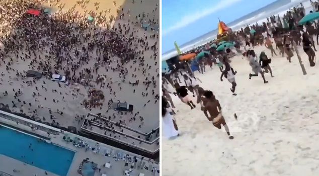 عندما سمعوا أصوات الأسلحة، خرجوا من البحر وهربوا في حالة من الذعر.