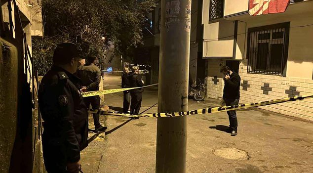 18-летняя женщина, пытавшаяся войти в дом, была застрелена в голову и погибла.