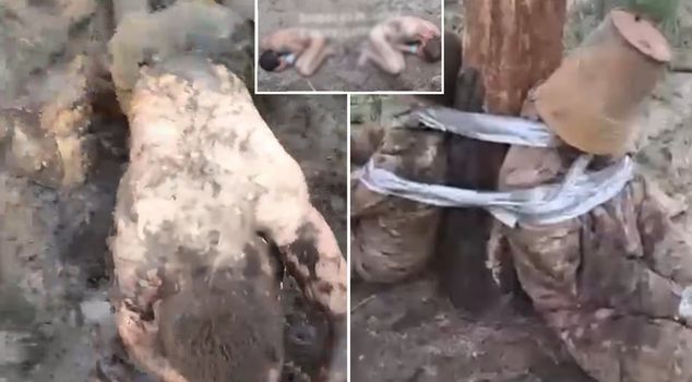 What have Putin's commanders done! Scandalous images from the Russian army.