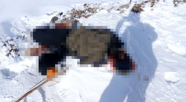 A male corpse was found at the Iran border.