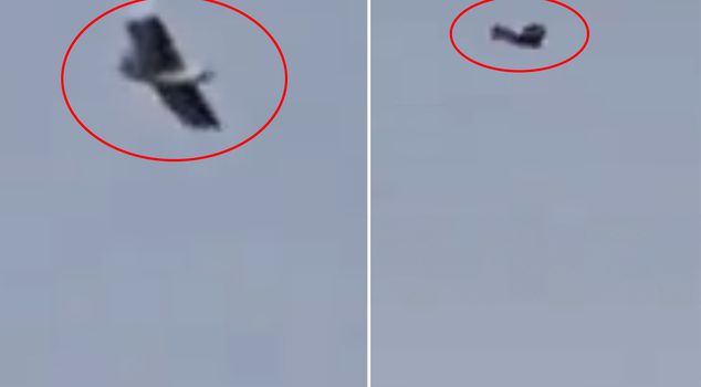 A bird-shaped drone was spotted over Iran.