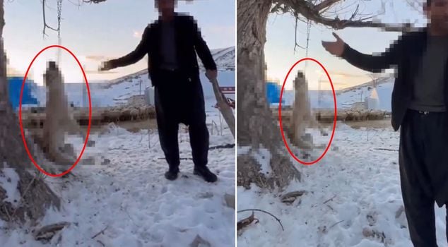 ادعى أنه أكل كثيرًا، فعلق كلبه على الشجرة وقتله.