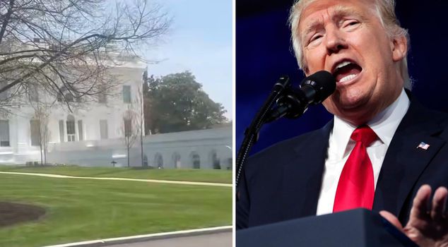 Посмотрите на музыку, которую Трамп громко играл в Белом доме.