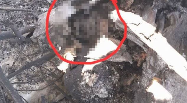 Сообщение о том, что на сбитом военном самолете из Ирана была обнаружена часть тела американского солдата.