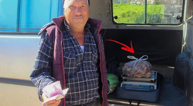 Они собирают на склонах Каздаглары и продают по 1000 лир за килограмм.