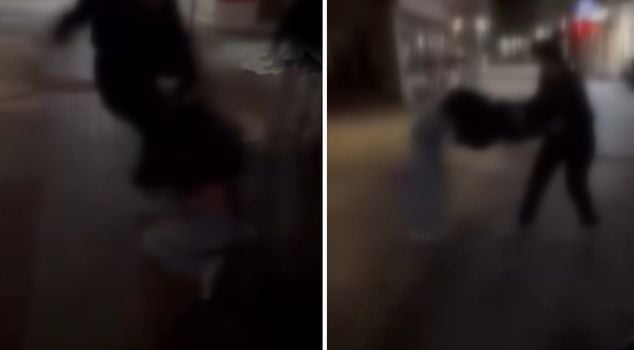 A hair-pulling fight between young girls in Bursa captured on camera.