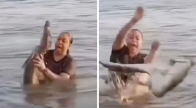 He picked up a log from the water, and a crocodile appeared! The shock he experienced was captured on camera.
