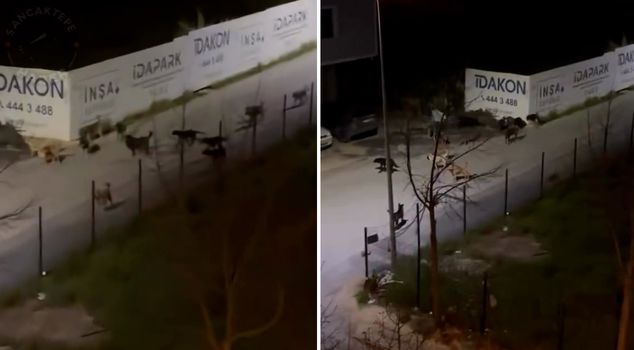 A frightening scene in Sancaktepe! Those who watched the video tagged the mayor.