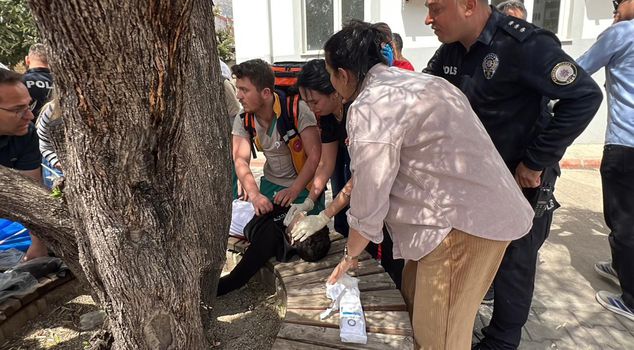 They emerged after the attack in Kahramanmaraş! Provocateurs organized via Telegram were identified.