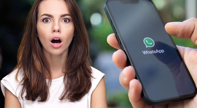 WhatsApp ban for public employees in European countries.