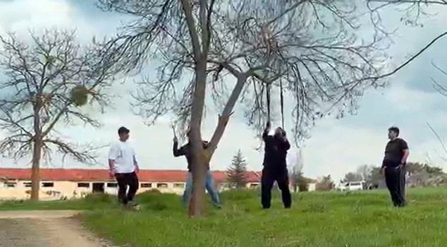 In Eskişehir, they allegedly tried to break tree branches for a barbecue.