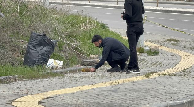 A howitzer shell was found on the roadside in Sivas.