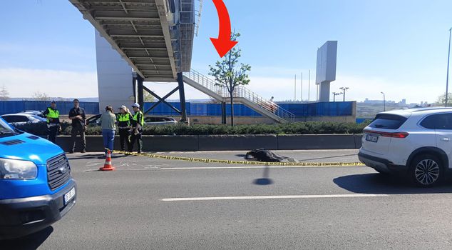 A worker who fell onto the road while hanging a banner on an overpass died under a car.