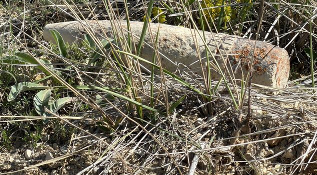 A citizen in Ankara found an unexploded artillery shell while searching for mushrooms.