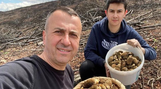 Mushroom hunting that makes a father and son smile