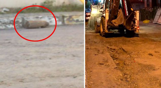 В Эюпсултане был найден боеприпас, который, как полагают, является миномётным снарядом.