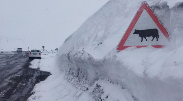 Snow thickness exceeded the height of the sign.