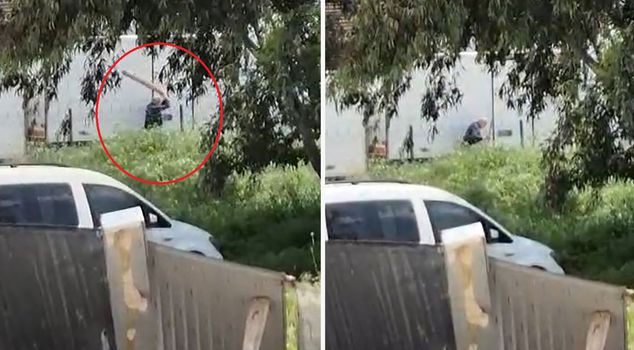 The person who beat a stray dog with a stick for allegedly eating his chickens is in custody.