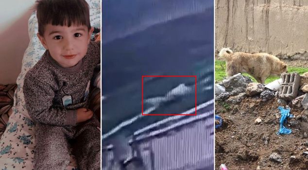 Footage of the horror in which 5-year-old Hamza lost his life to a dog has emerged.