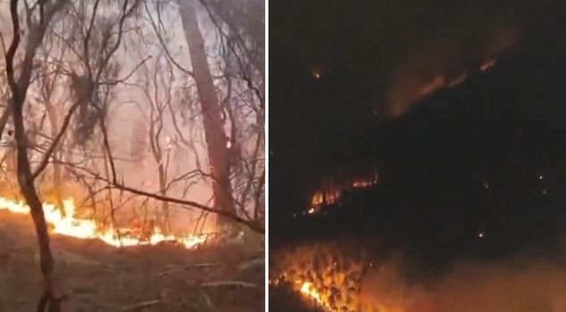 In a fire that broke out in Italy's famous tourist region of Tuscany, an area of 800 hectares turned to ash.