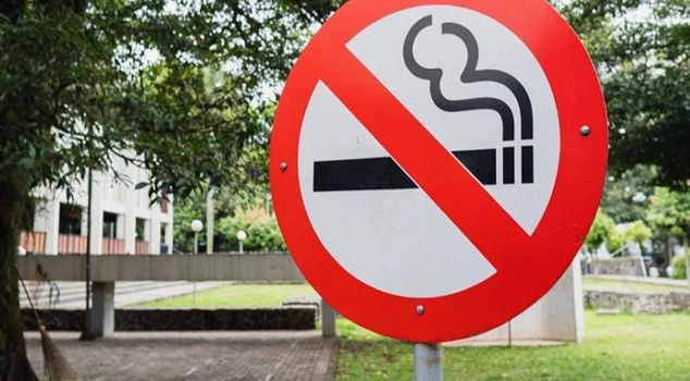 Germany bans disposable e-cigarettes.