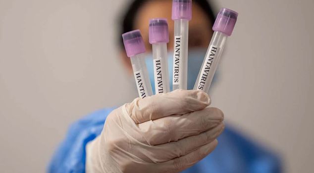 Hantavirus detected in a person in Israel